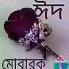 user14941960182484