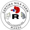 Cantika Nila farm