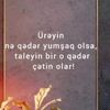 raminasgerov48