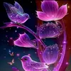 rayan7457