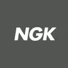 ngk_349