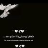 user6135056333248