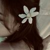 sallsaaa_2
