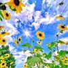 tranthuynga_29