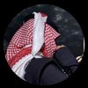 zayed_7703