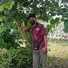songphop26