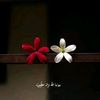 sabahnbtfzy
