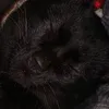 nghienmuopdangg