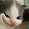 ituyt58