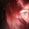 stttarrynight