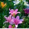 kaythi.khaing72