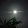 harrsi4