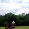 maishatasnia.1