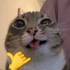 aubss_is.confused