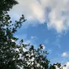 rasmus_jpaa