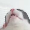 noooooooooooooo205