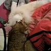 nathkathmr1