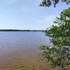 leo_kekkonen
