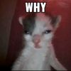 lowcontentcreator1209