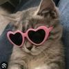 nermineabid5