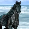yassin_yassin120