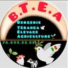 btea54