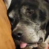 jackieshepherd61