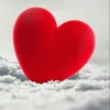 ssaannaamm5555