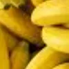 mrbanane159