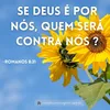 helenasousa0284
