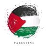 kareemahmed7843