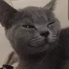 ngc.khnh.y0