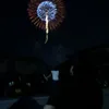 yupo_84