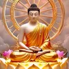 tuquoc786
