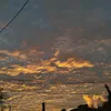 .seejaycj