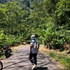 arya_glb