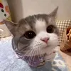 _deotinvaodanong_23