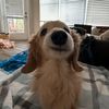 whenyhkfnyh