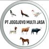 jogojoyomultijasa
