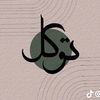 Zeeshan Mirza Vlogs