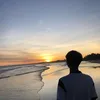 vntvs1