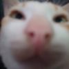 renatocagayjr