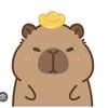 kim.ngoc891