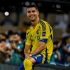 soccer_.inc