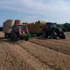 marek332210