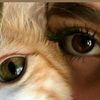 dima_sy878