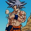 kakarot1234567890