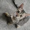 minhnhtv39