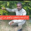 user8241038145736