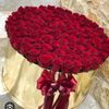 xanim......ba__gr__ov_a2